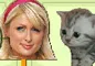 Celebrity Shootout