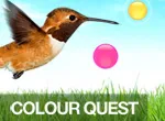 Color quest