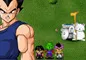 Dragon Ball Z village
