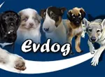 Evdog