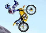 Fmx team