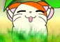 Hamtaro