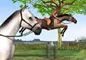 Horse jumping