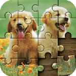 Jigsaw Puzzle