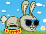 Lapino