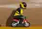 Mini dirt bike