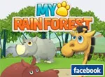 My rain forest