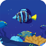 Ocean Math Game Online