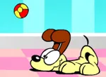 Odie - Dingle Ball