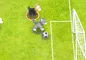 Pet soccer