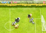 Pet soccer