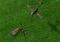 Skies of War Extended