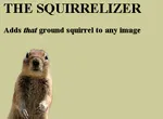 The Squirrelizer