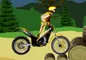 Stunt dirt bike