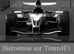 Team4F1